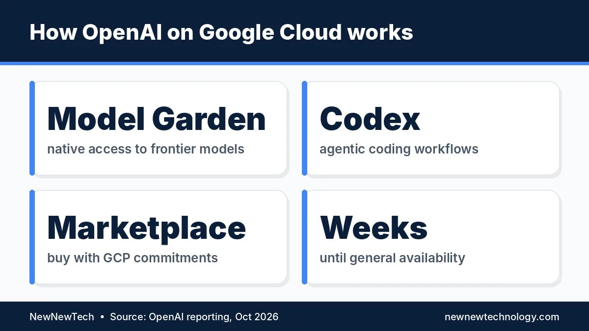 Diagram of how OpenAI models on Google Cloud are bought via Marketplace and used in Model Garden, Antigravity and Gemini Agent